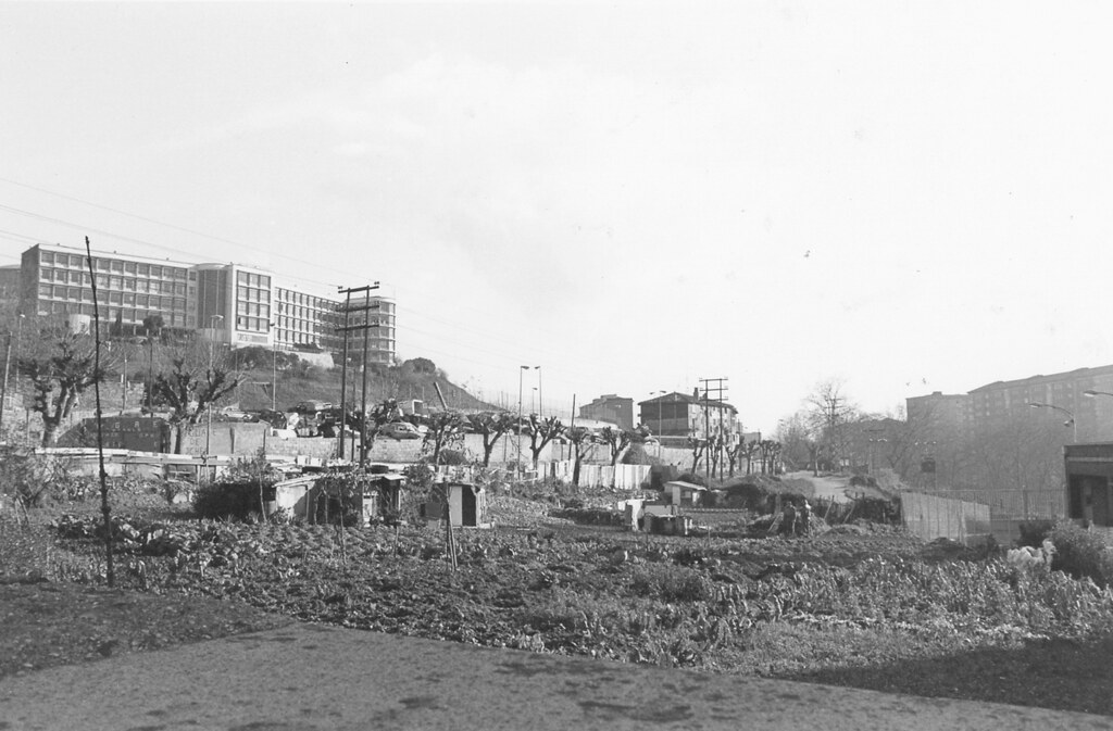 Huertas y campos del antiguo Ibarrekolanda
